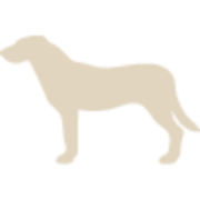 Einzeltraining für Hunde – CanisConcept