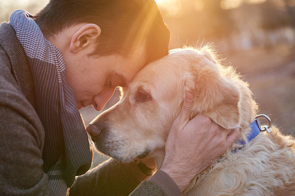 CanisConcept Einzeltraining für Hunde